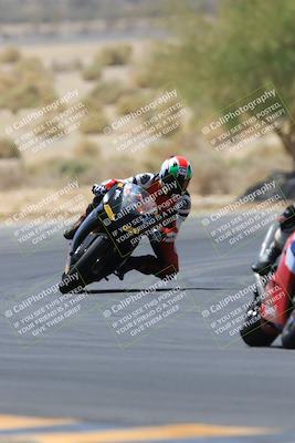 media/May-14-2023-SoCal Trackdays (Sun) [[024eb53b40]]/Turn 5 Tree of Life (1125am)/